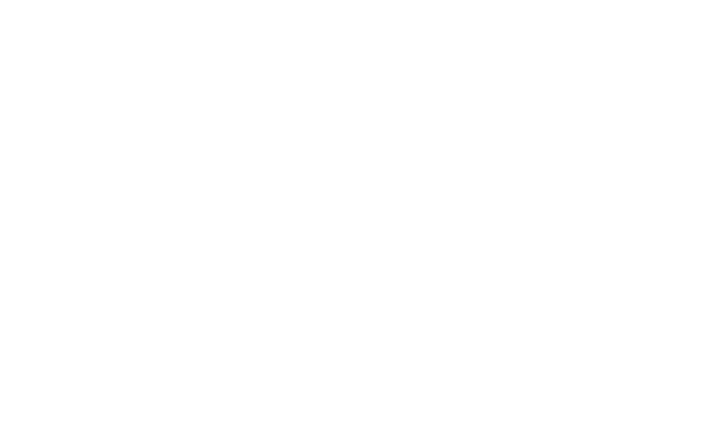 CFO Consulting Logo